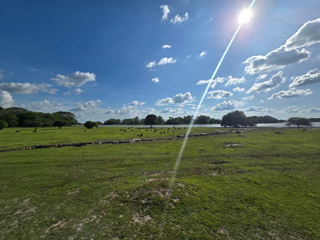 Cunaguaro Travel-Yopal必去景点