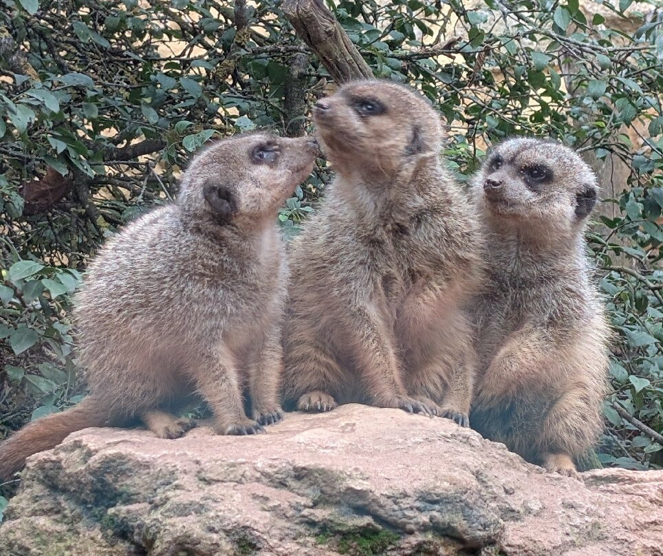 Tiergarten Eisenberg-Eisenberg必去景点