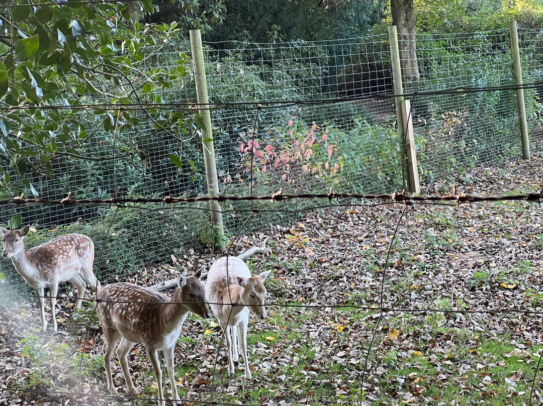 Wentworth Woodhouse-罗瑟勒姆必去景点
