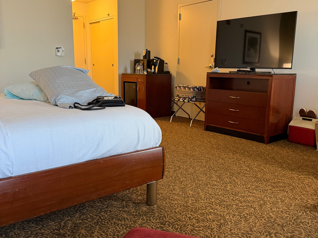 Hilton Garden Inn Corpus Christi主图