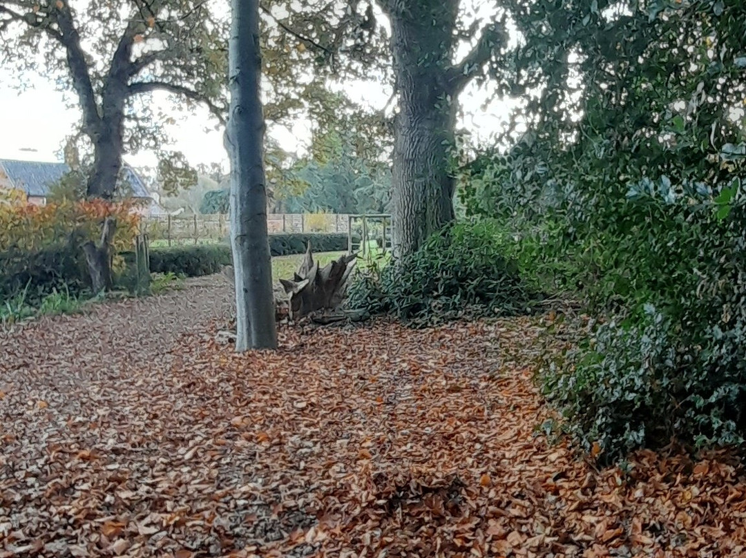 Mannington Hall-诺威奇必去景点