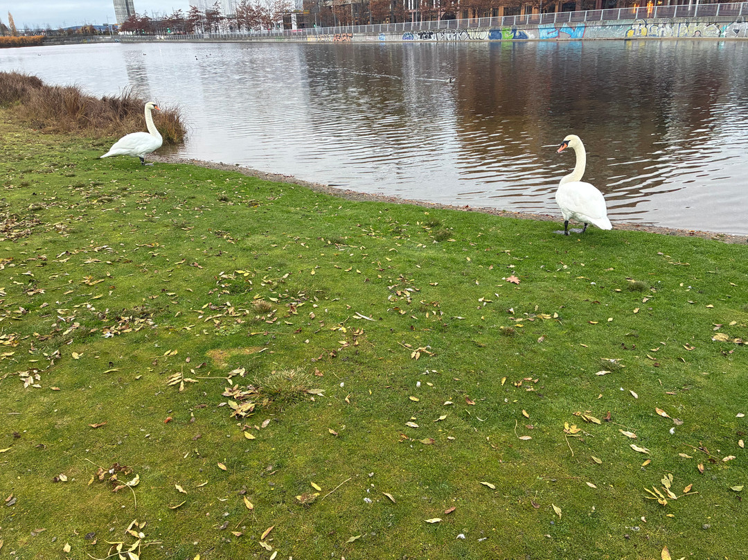 Medieval Ruin Park-奥斯陆必去景点