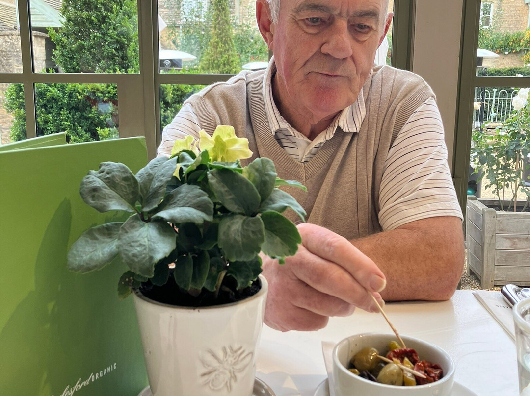 Wombat Hill Botanical Gardens-戴尔斯福特必去景点