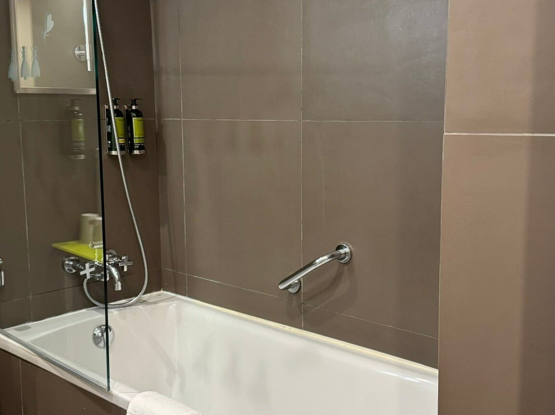 拿破仑酒店主图