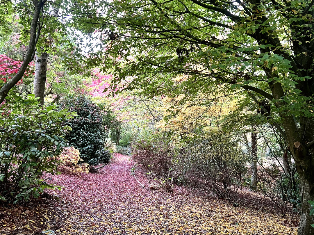 Dingle Nursery And Garden-Welshpool必去景点