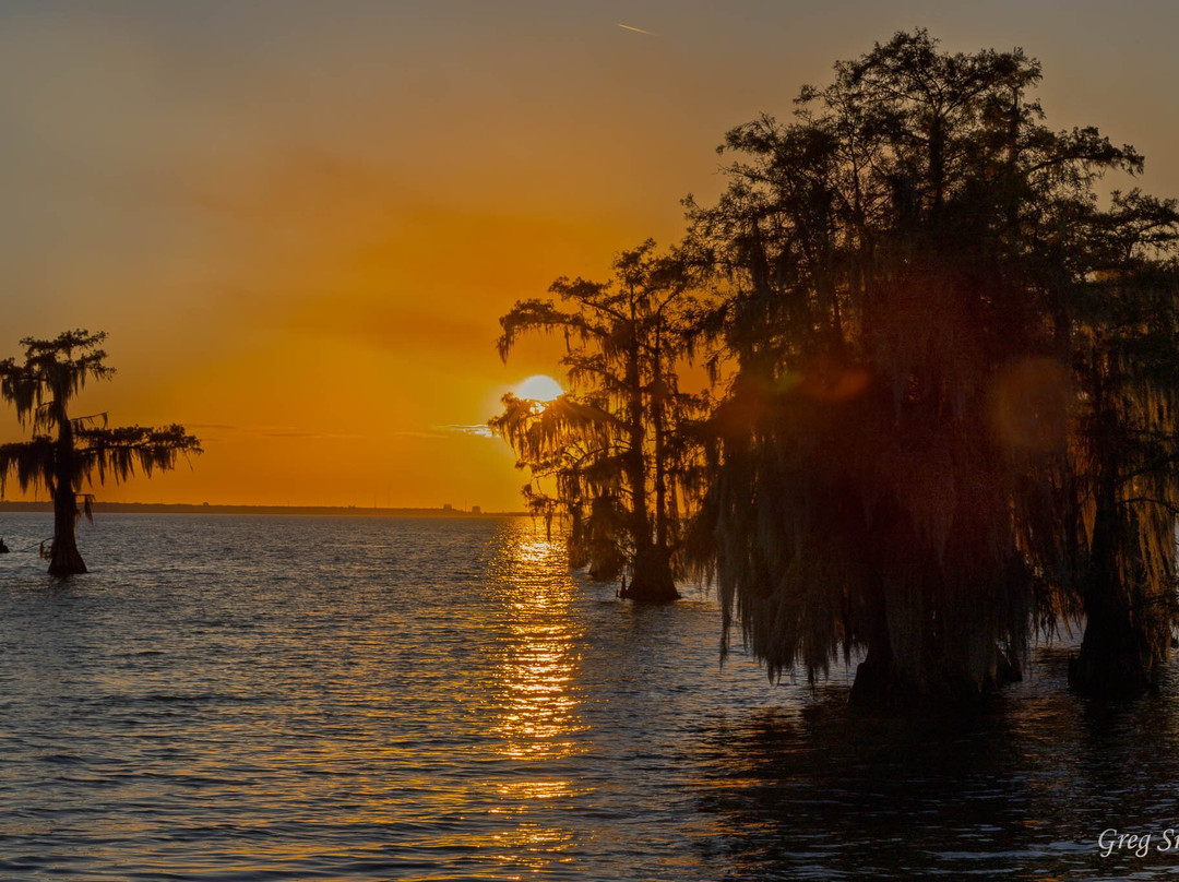 Cajun Man's Swamp Tours & Adventures-Gibson必去景点