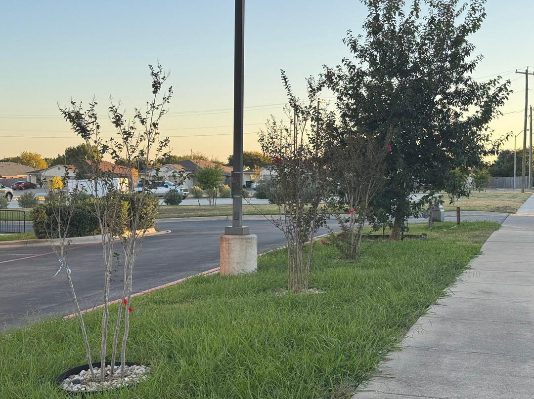 Candlewood Suites Killeen - Fort Cavazos Area by IHG主图