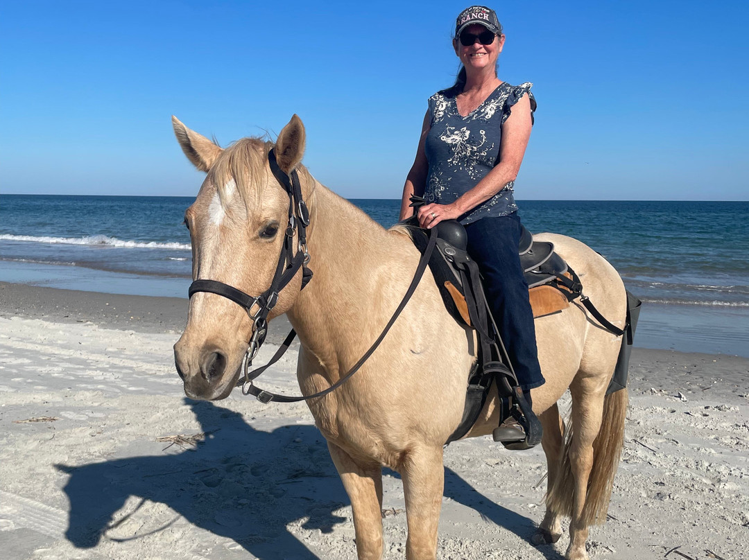 Amelia Island Horseback Riding-费尔南迪纳岛必去景点