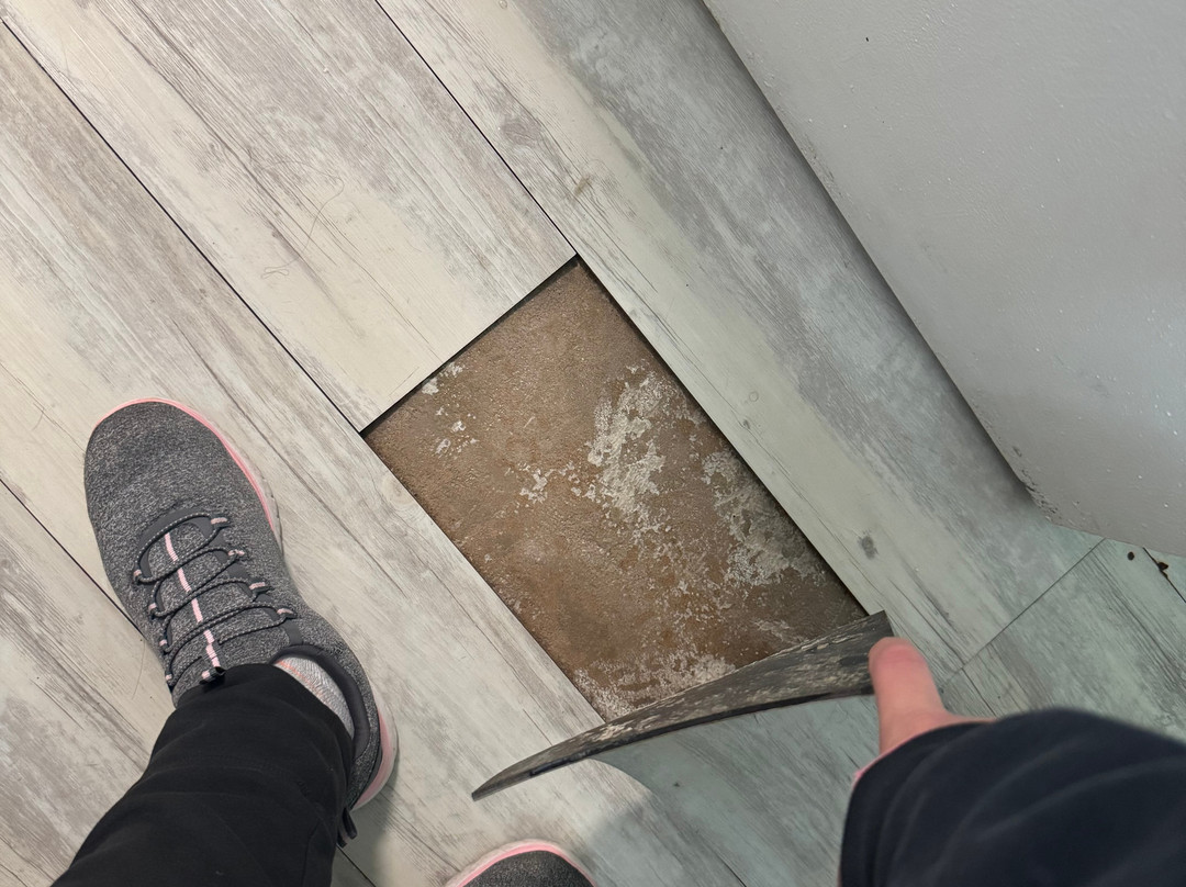 Best Western Bordentown Inn主图