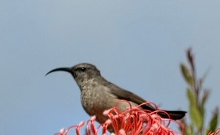 Wilderness Manor Guest House-官方