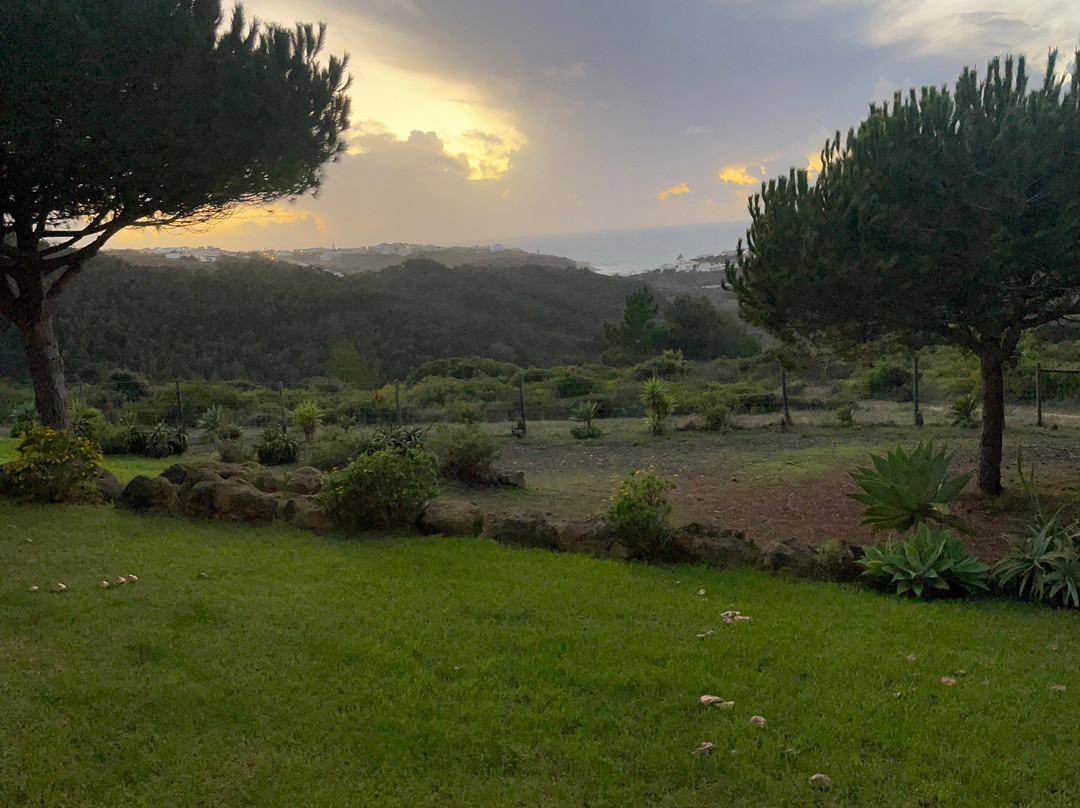 Quinta Dos Raposeiros主图