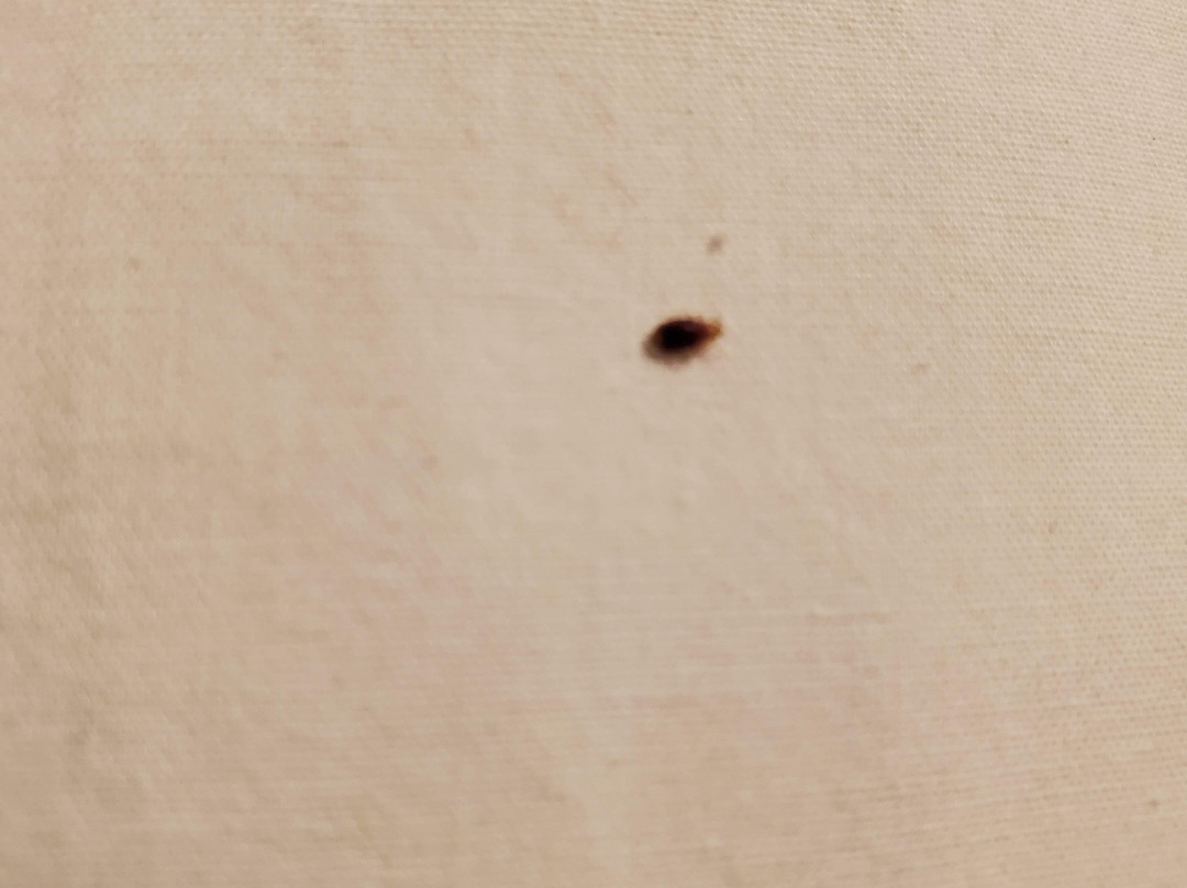 Fairfield by Marriott Inn & Suites Barrie主图