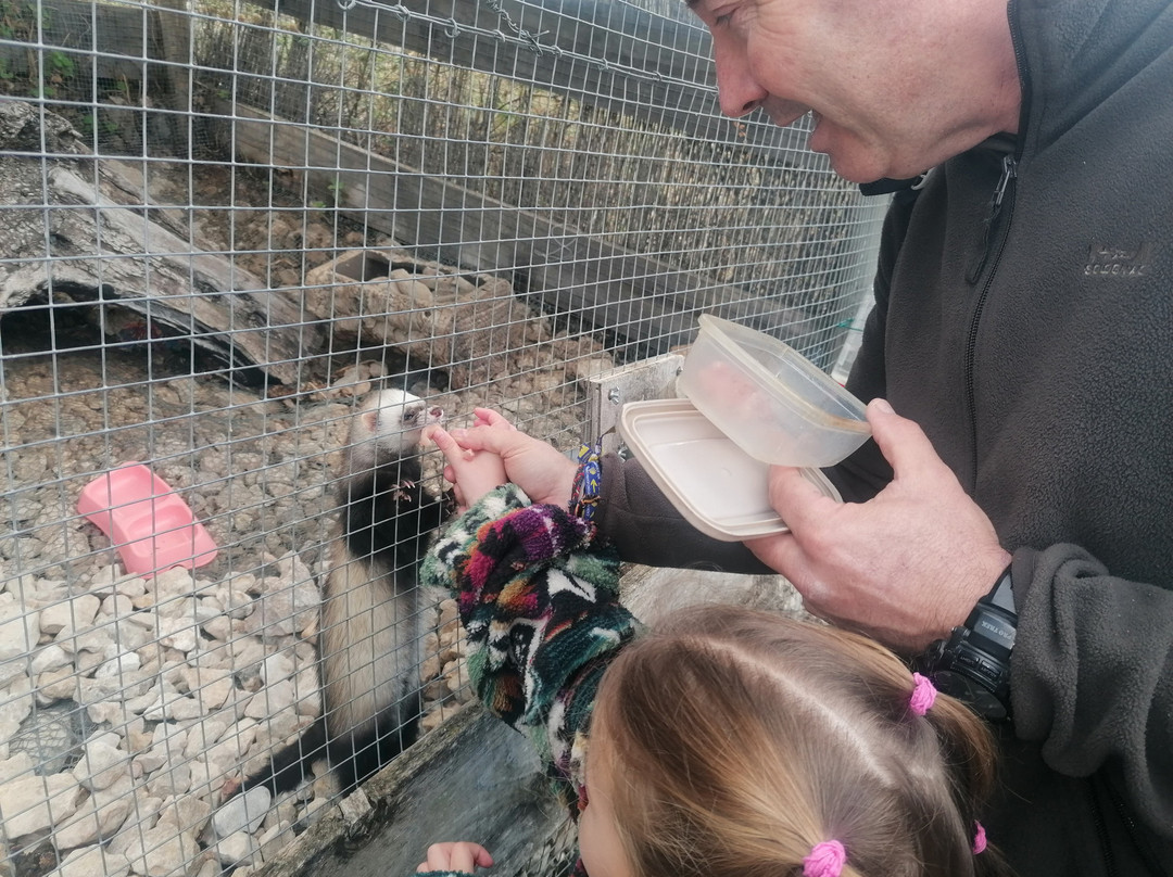 Iberfauna-Zuheros必去景点