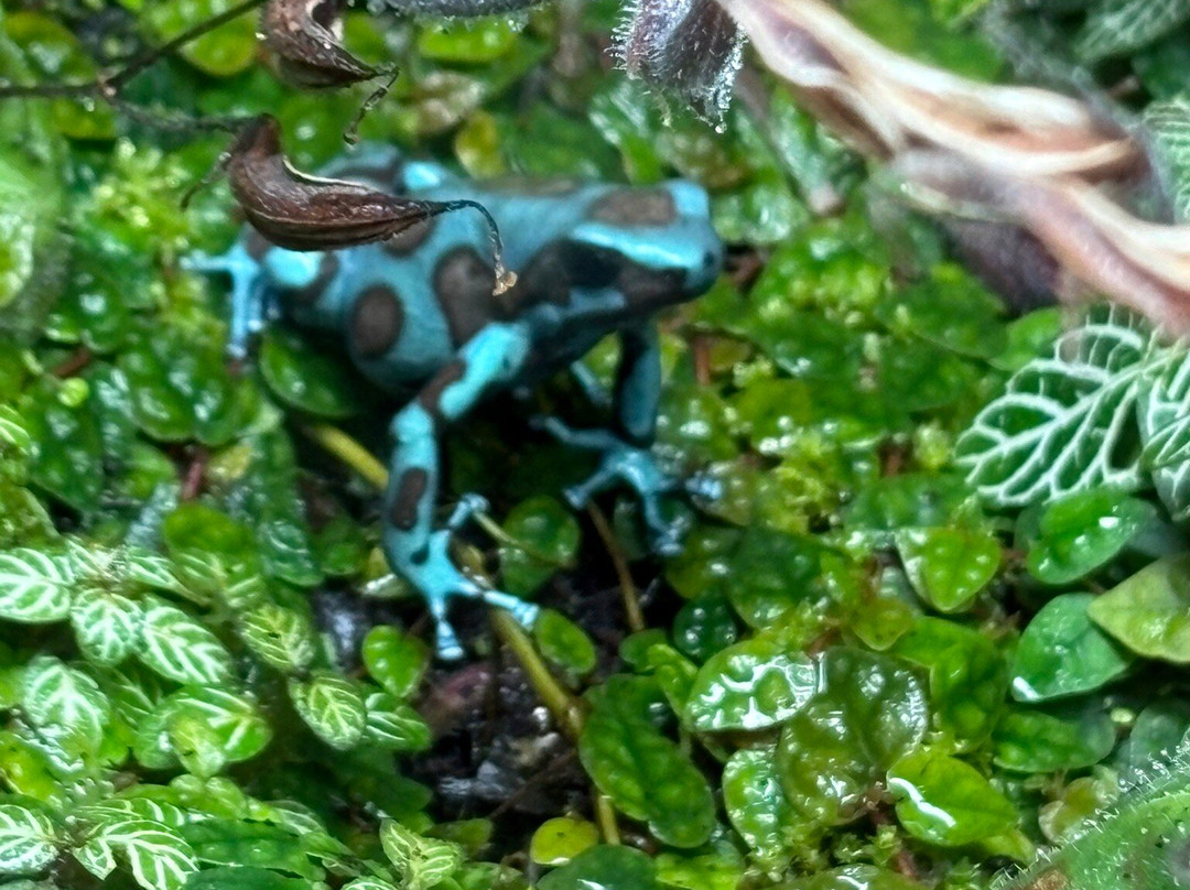 The Deep-赫尔河畔金斯顿必去景点