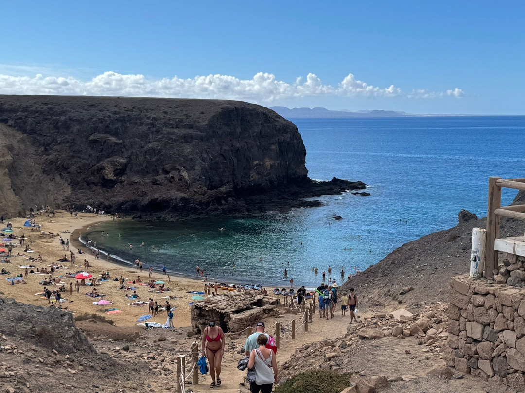 Wine Tours Lanzarote-卡门港必去景点