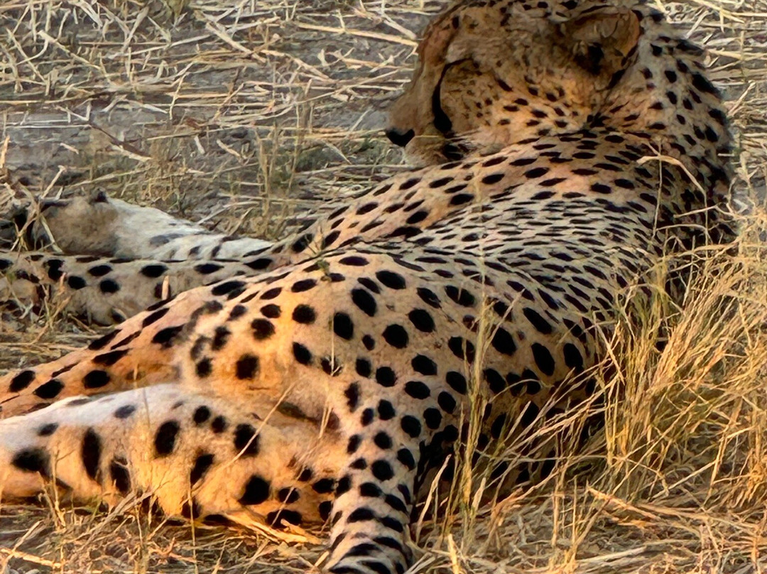 Embrace Safaris-马翁必去景点