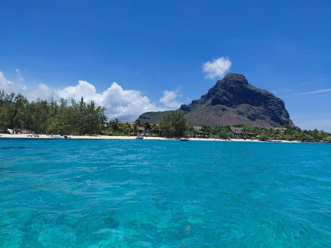 Dream Dolphin-黑河必去景点