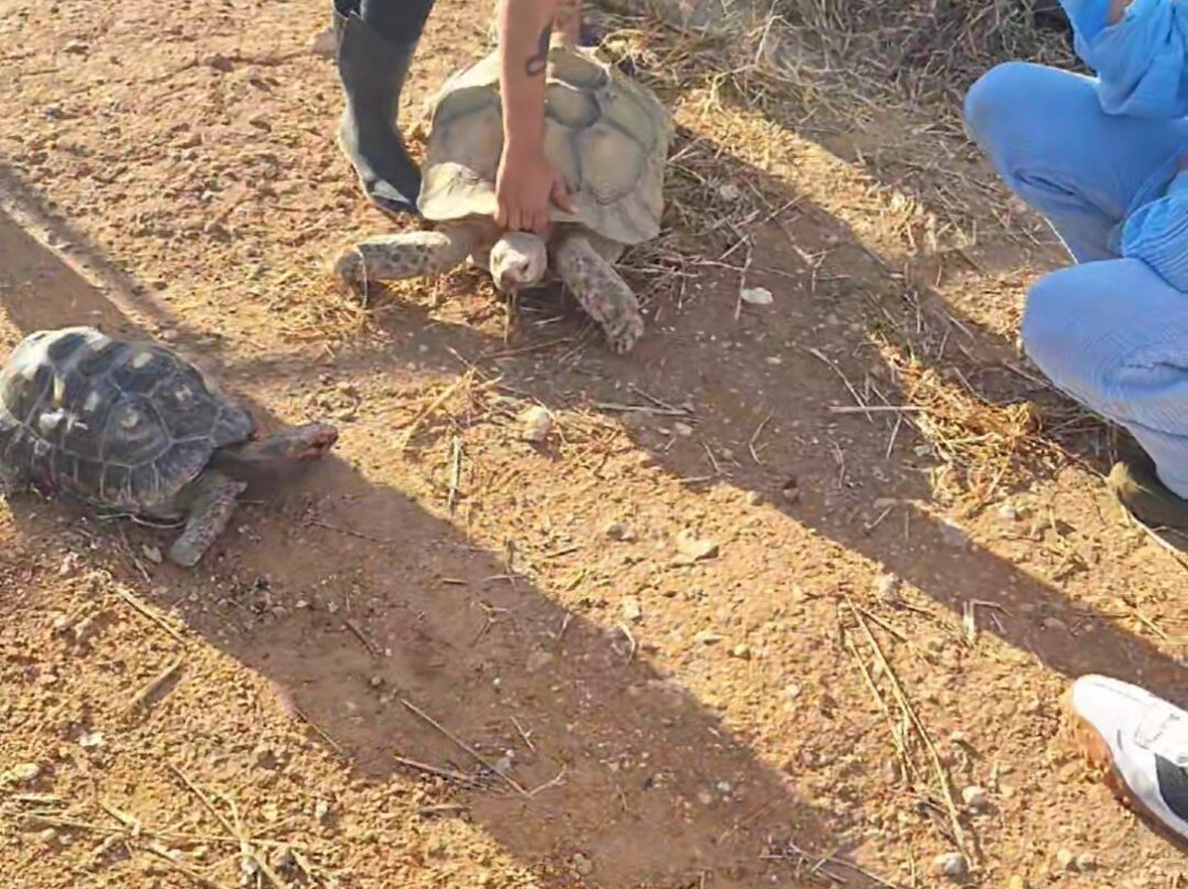 Quinta Fotoplanet Farm-阿尔布赞拉必去景点