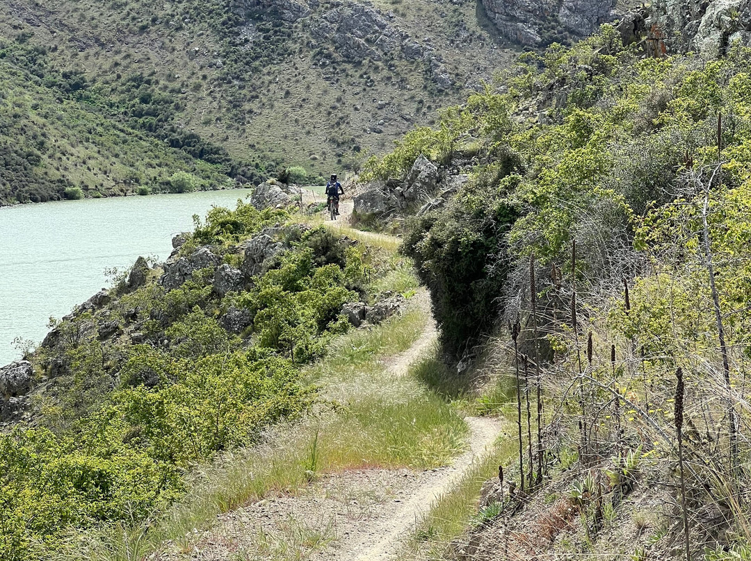 Cycle Journeys Twizel-特威泽尔必去景点