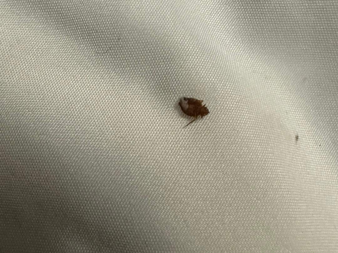 Comfort Suites Brunswick主图