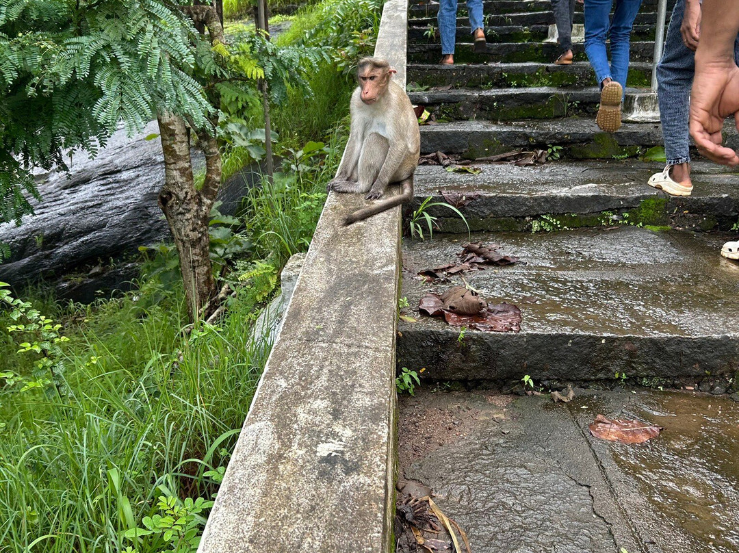 Sri Karinjeshwara Temple-Bantwal必去景点