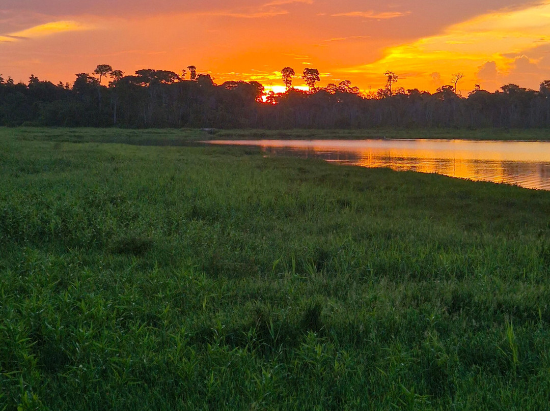 Pisatahua Plant Medicine-Riberalta必去景点