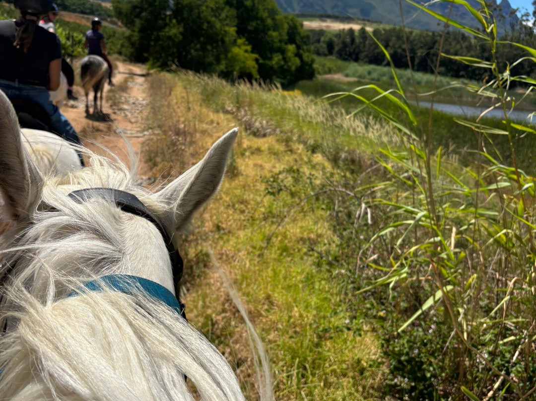 Equine Sport Centre-斯泰伦博斯必去景点