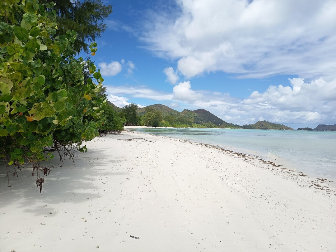 Anse Volbert-普拉兰岛必去景点