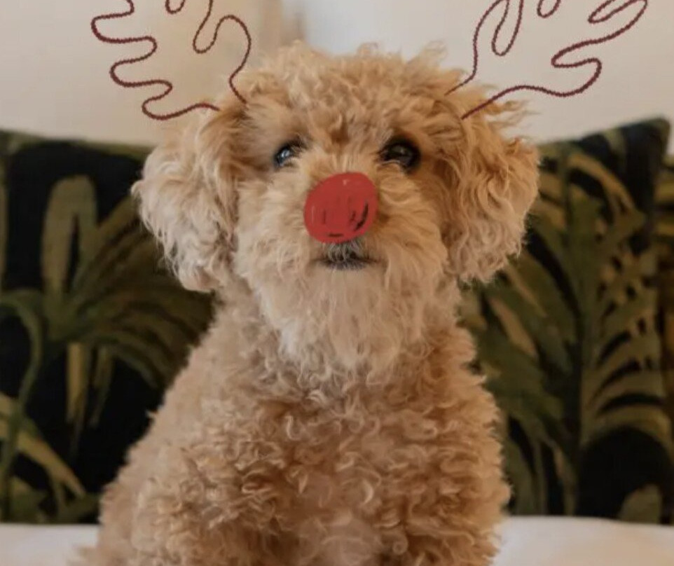 The Hoxton Downtown LA主图