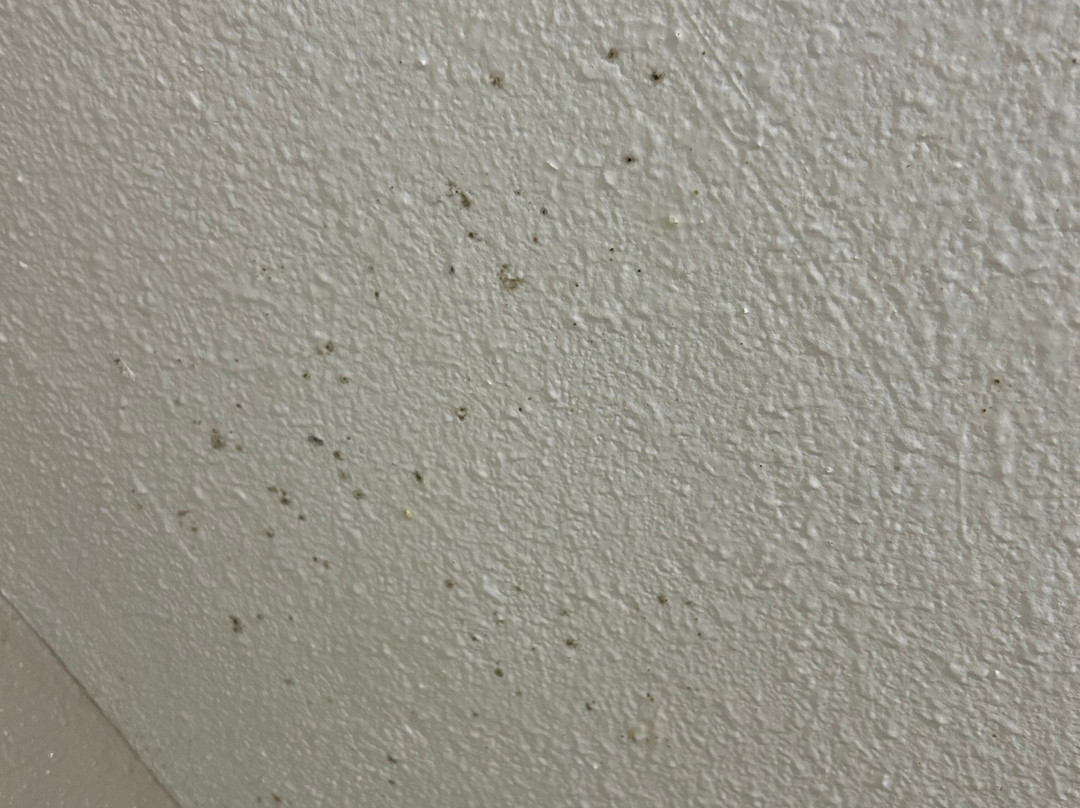 Quality Inn I-81 Exit 23主图