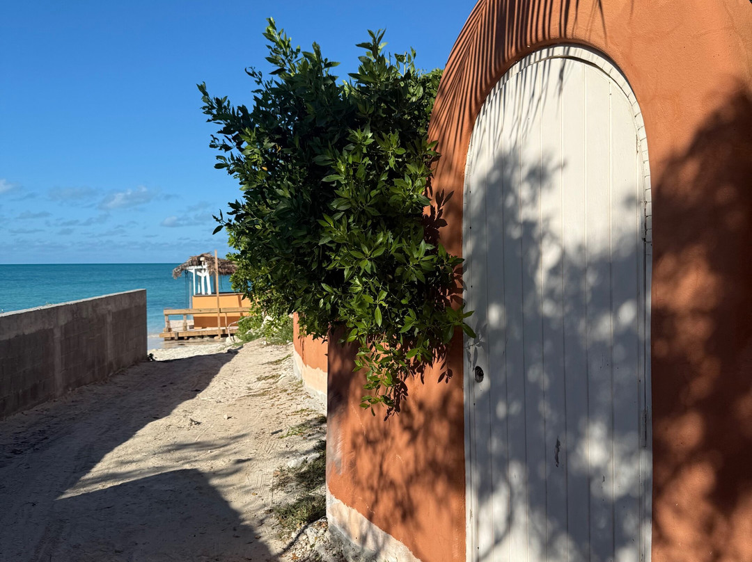 Island Fish Fry-普罗维登西亚莱斯必去景点