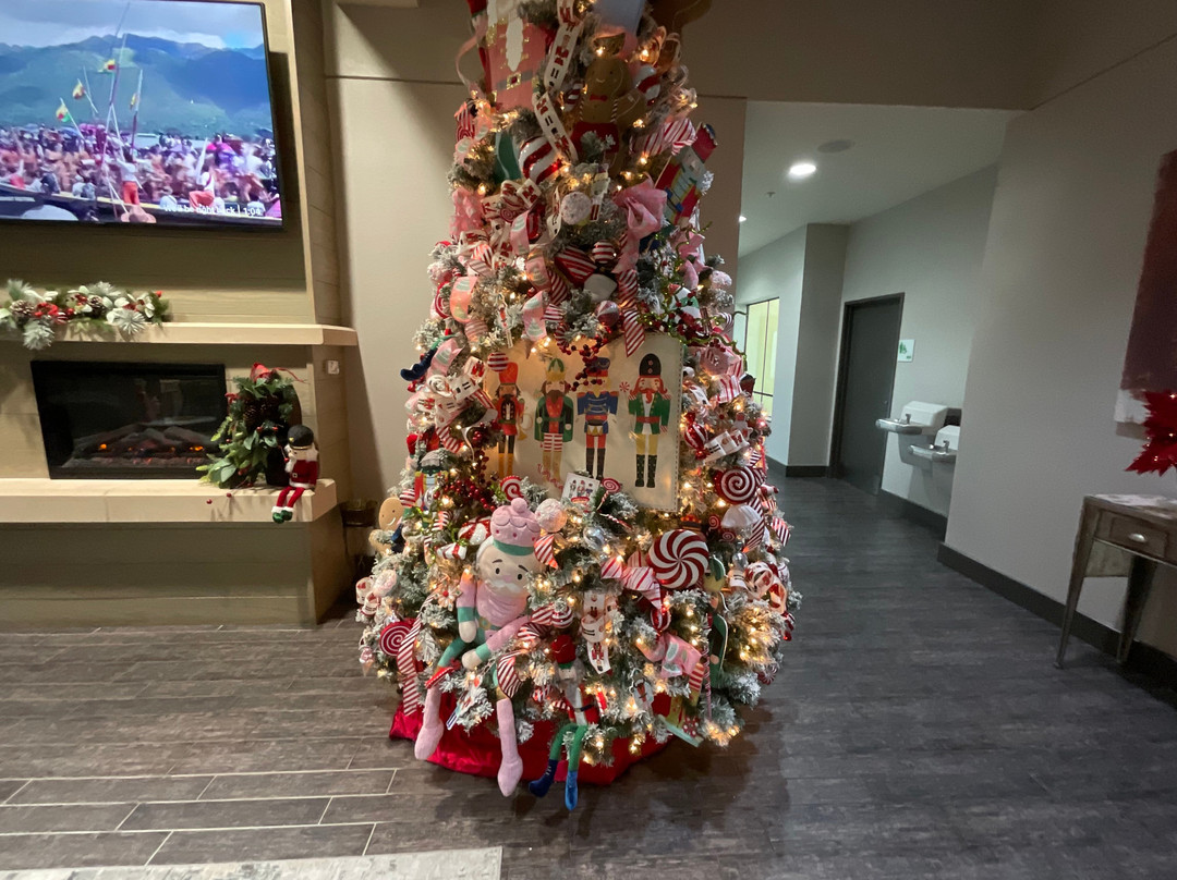 Holiday Inn Texarkana Arkansas Conv Ctr By IHG主图