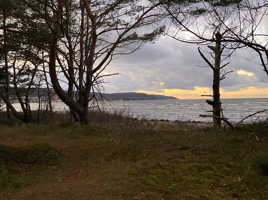 Hotel Riviera Strand主图