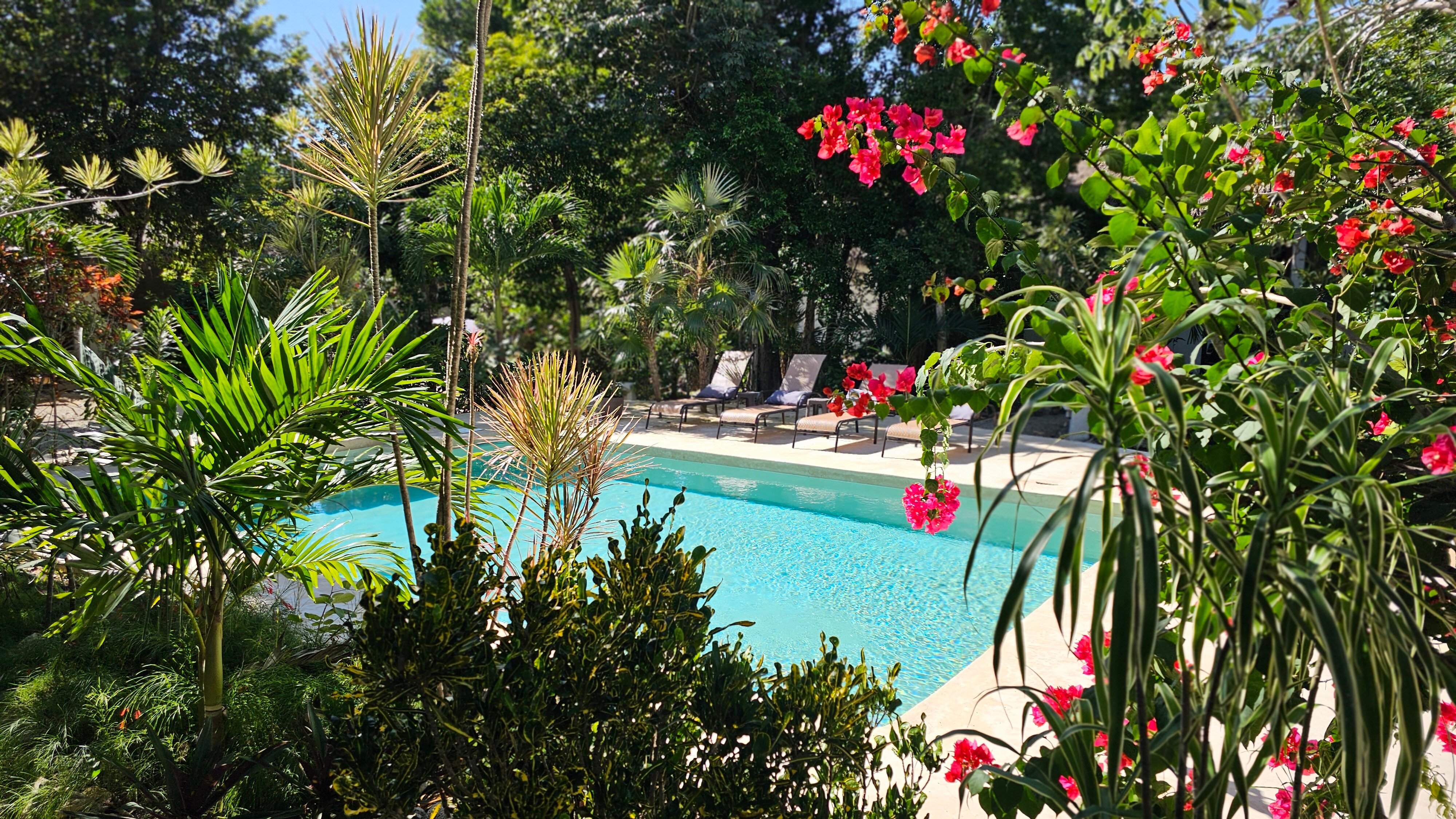 Maya Eco Village-官方