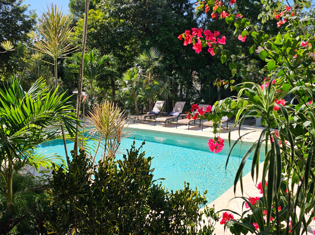 Maya Eco Village主图