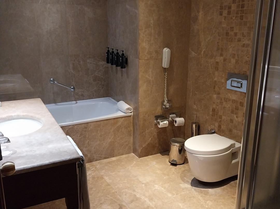 塞利希尔顿酒店主图