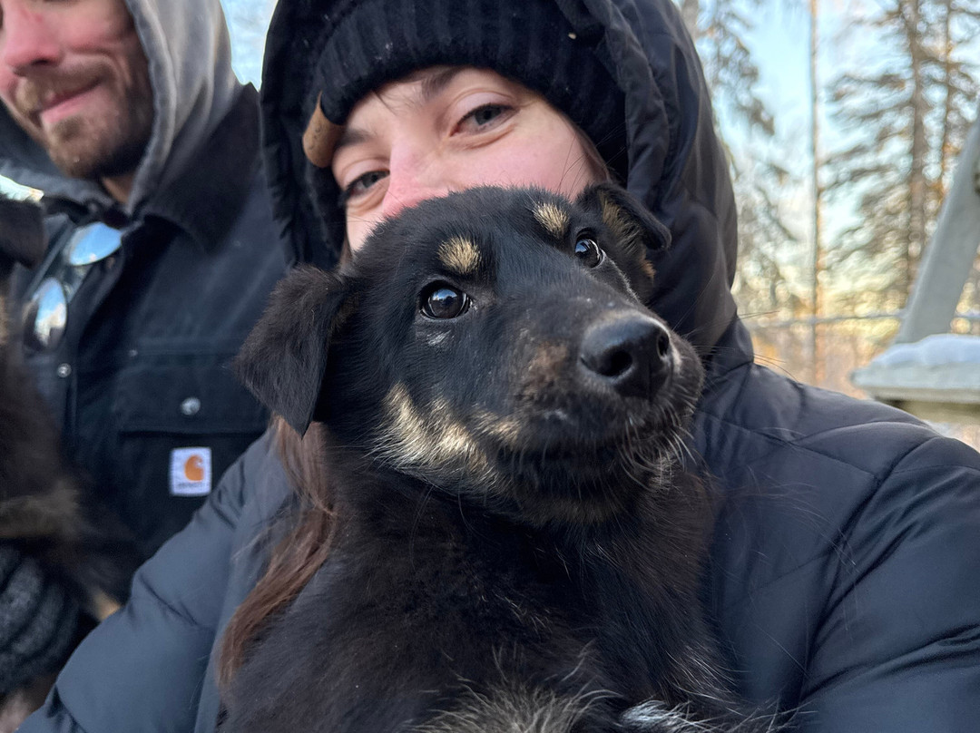 The Alaska Dogstead Mushing Company-Big Lake必去景点