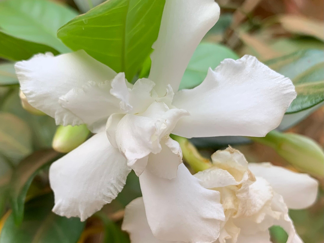 Little Afrika Lodge主图