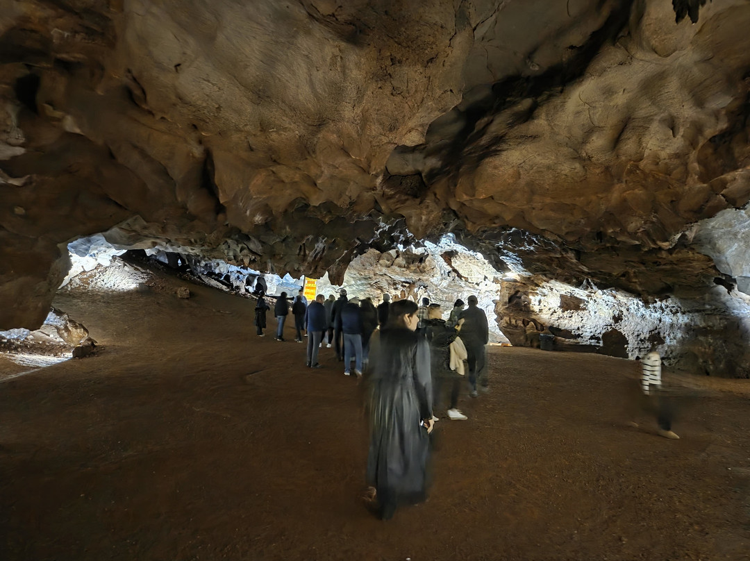 The Lost Sea Adventure-Sweetwater必去景点