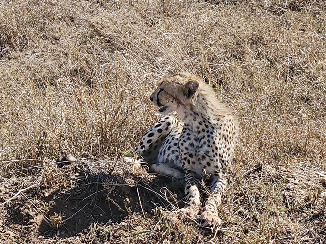 Tanzania-Experience-阿鲁沙必去景点