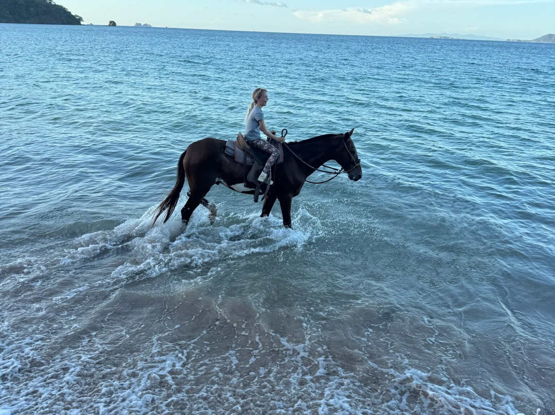 Pura Vida Concierge Services-塔马林多必去景点