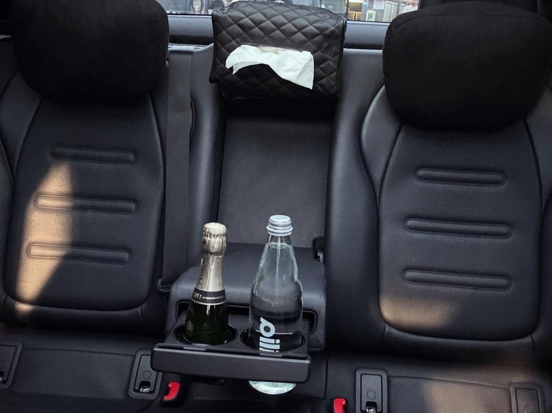 1DRIV3R-芒通必去景点