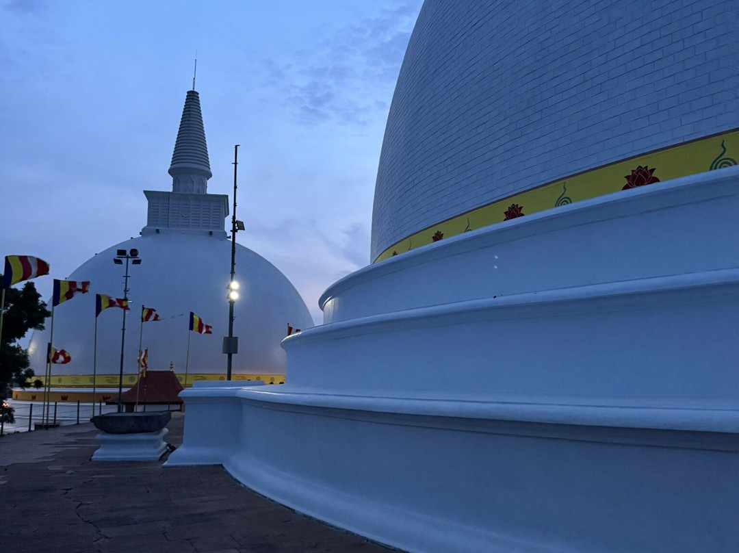 Mon Beau Trip-Falicon必去景点