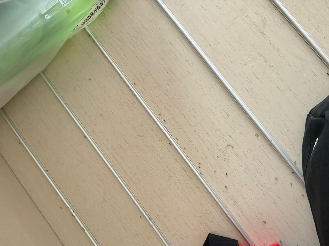 Hotel Black Tulip主图