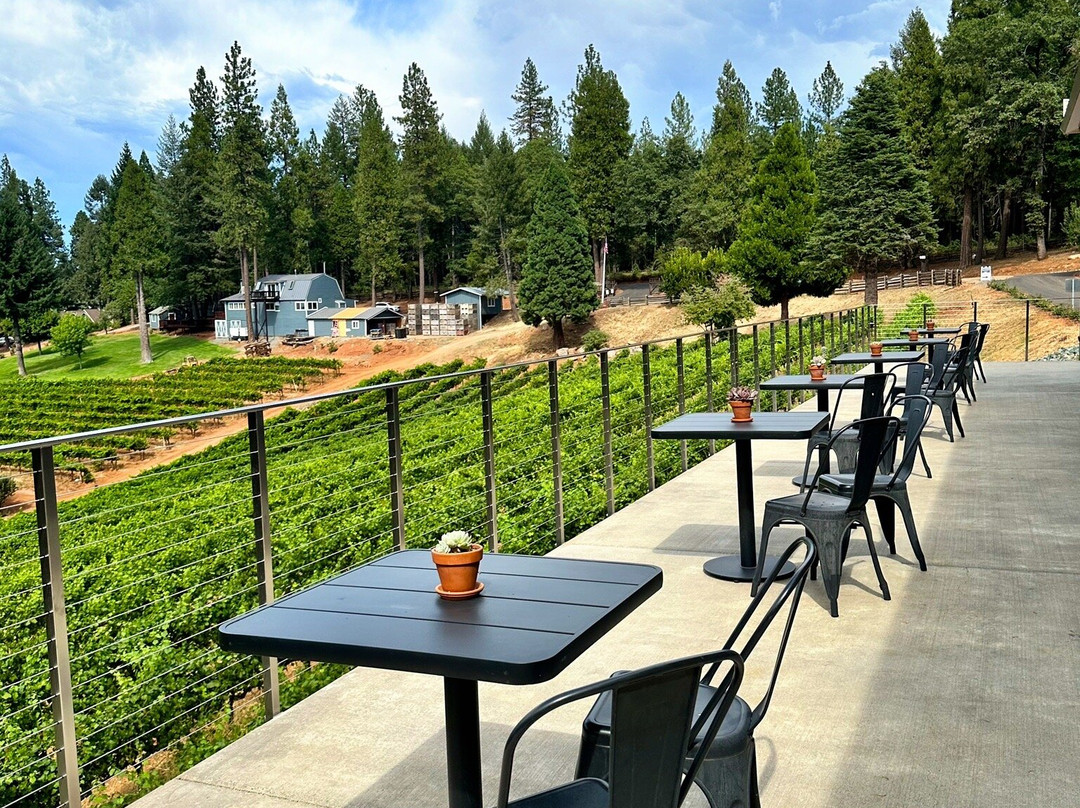 Delfino Farms-Camino必去景点