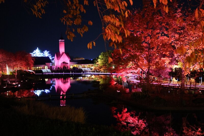 名花之乡-桑名市必去景点