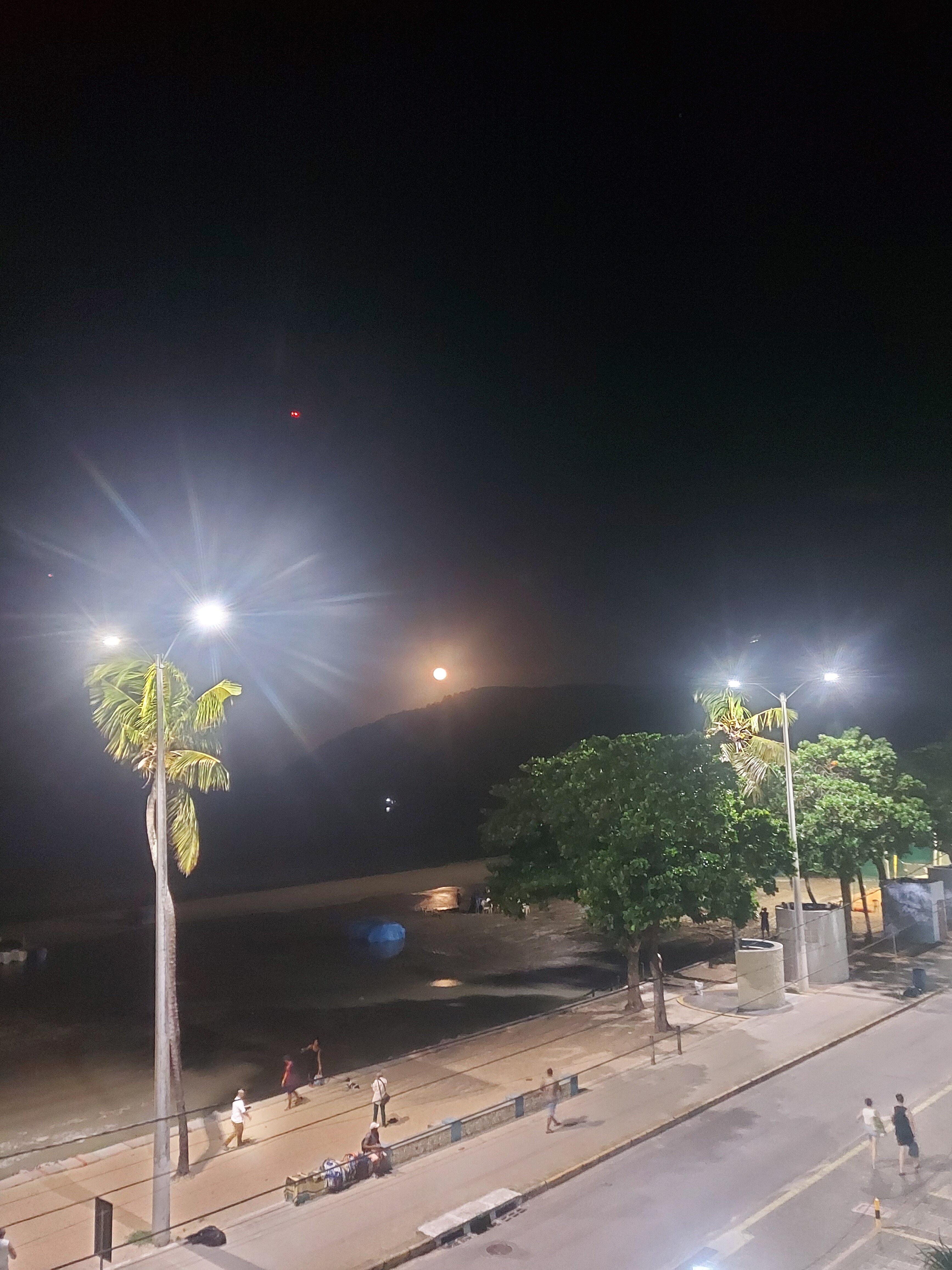 纳塔尔水族馆酒店-客卧