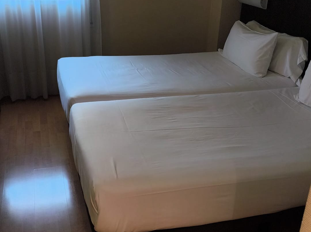 图德拉巴德纳斯酒店主图