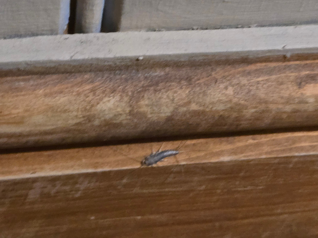 Premier Inn Southampton Eastleigh主图