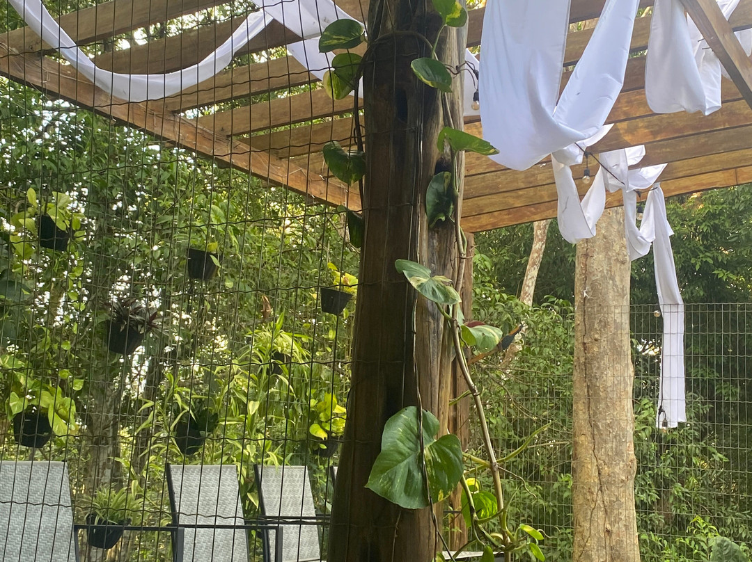 Amazonia Jungle Hotel主图